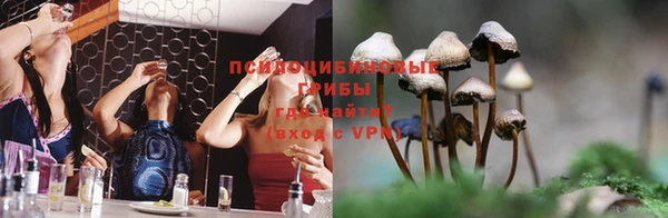 стаф Баксан