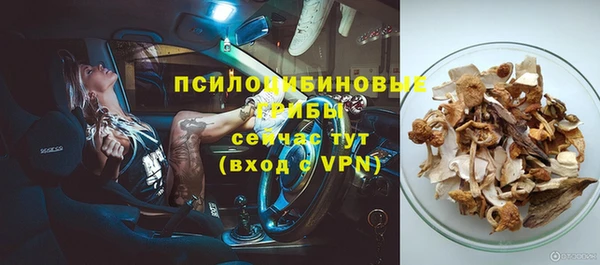 стаф Баксан