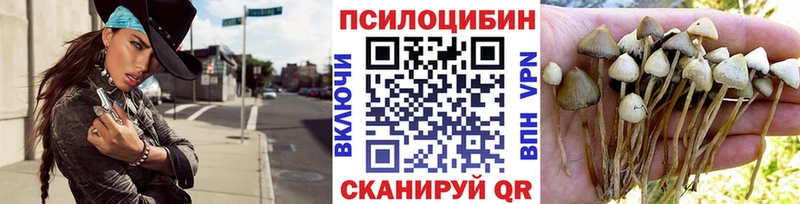 как найти закладки  Фурманов  Псилоцибиновые грибы Cubensis 